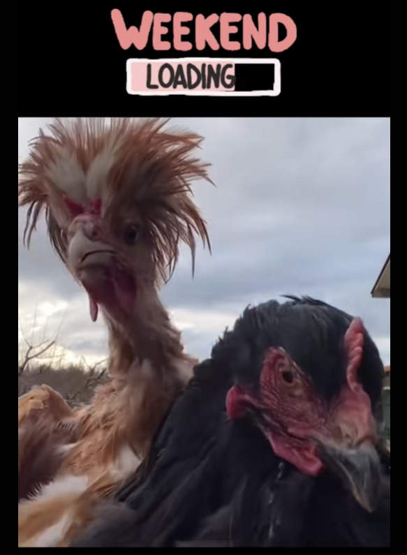 Ready for the Weekend?